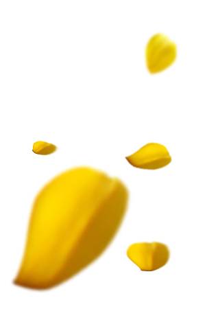 黄色叶子漂浮素材