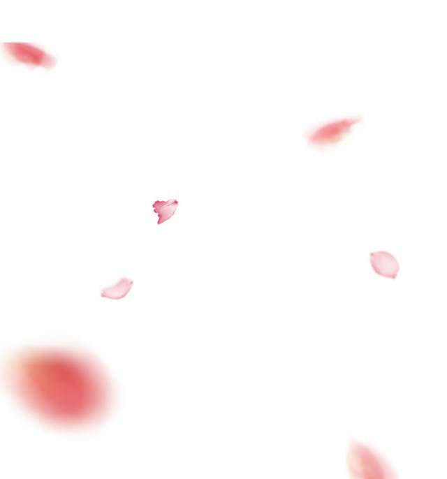 粉色花瓣漂浮素材