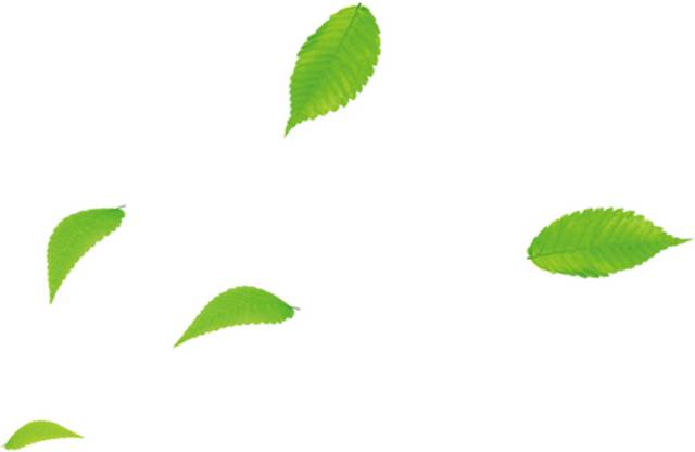 绿叶精美漂浮素材