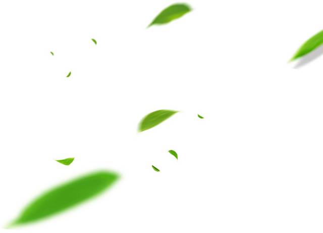 绿色的竹叶漂浮素材
