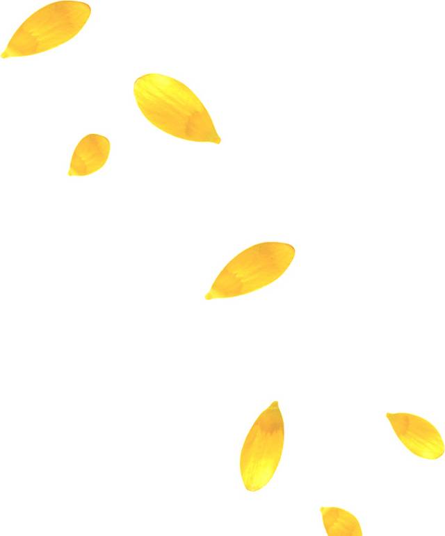 黄色叶子漂浮素材
