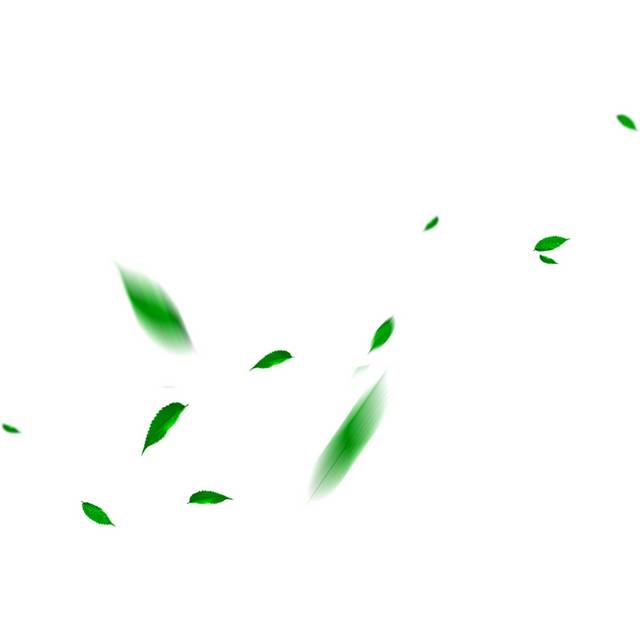 绿色的叶子漂浮素材