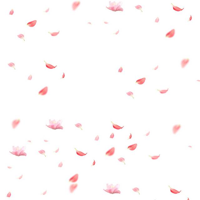 粉红色的花瓣漂浮素材