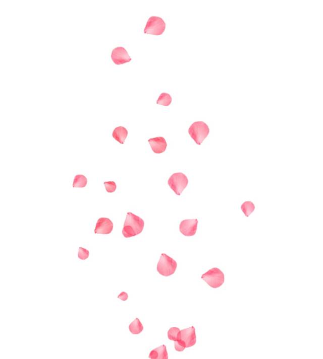 简约粉红花瓣漂浮素材