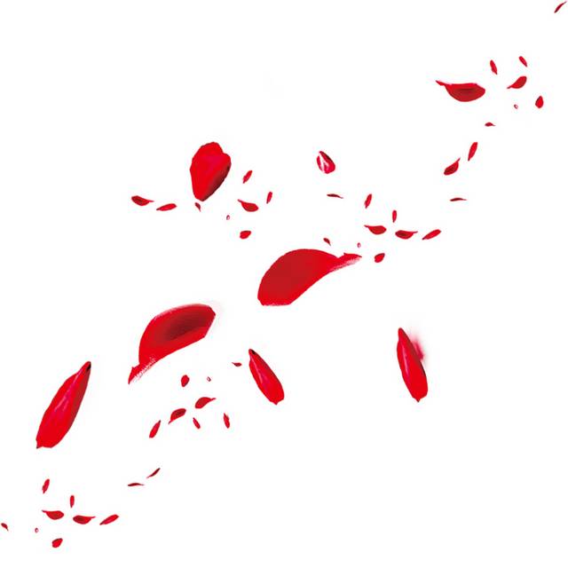 红色的花瓣漂浮素材
