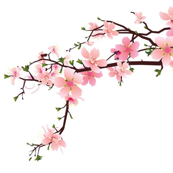 中国风梅花素材_图品汇