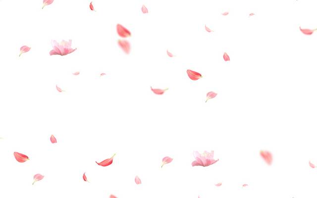 简约花瓣素材