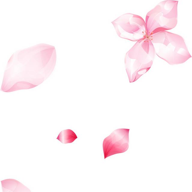 红花花瓣漂浮素材