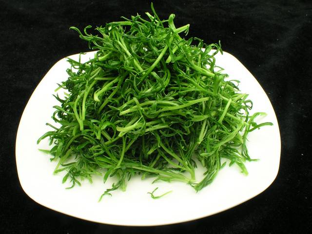 巧拌苦菊图片
