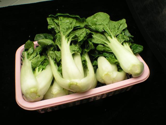 小青菜图片1