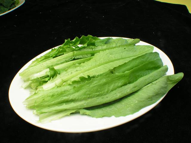 美味油麦菜图片