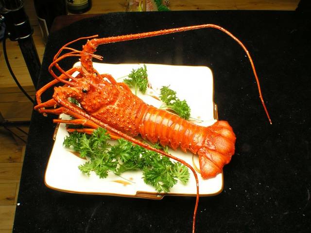 美味龙虾图片
