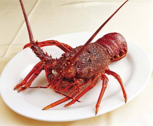 美味菜品澳洲龙虾图片