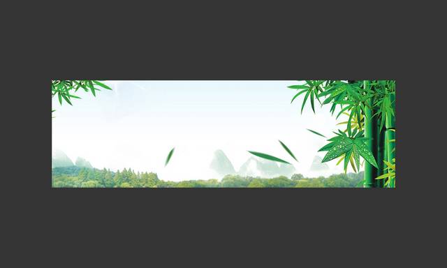 小清新竹林banner背景