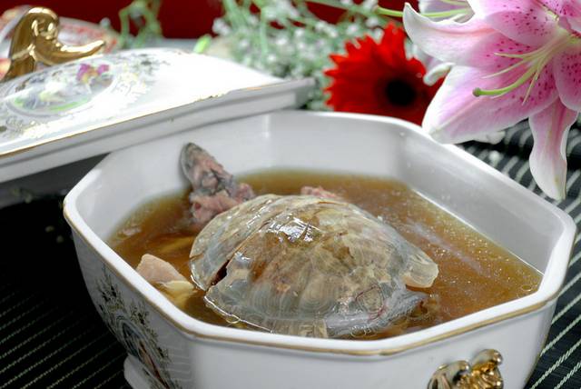 土茯苓煲龟图片