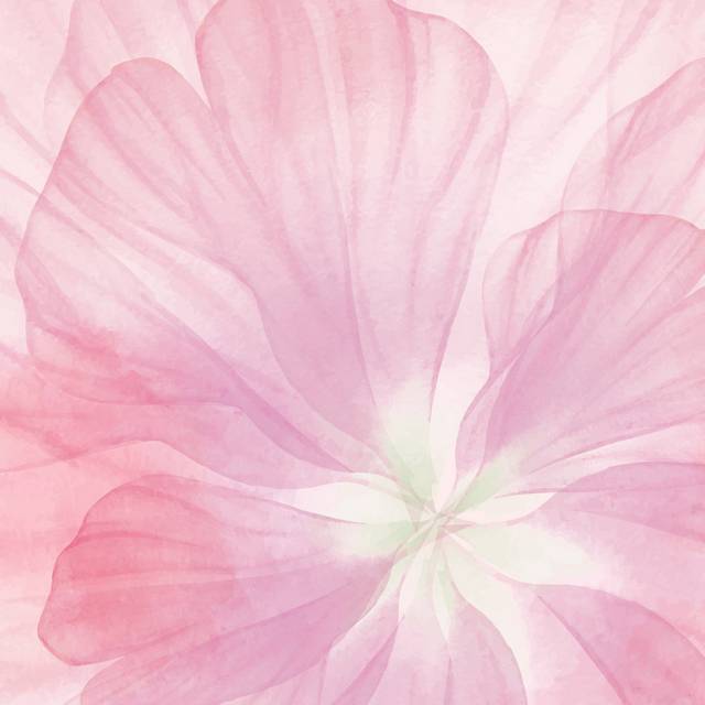 粉色花朵h5背景