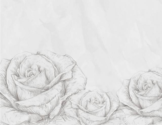 手绘素描玫瑰h5背景