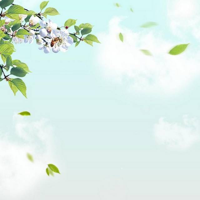 绿叶桃花h5背景
