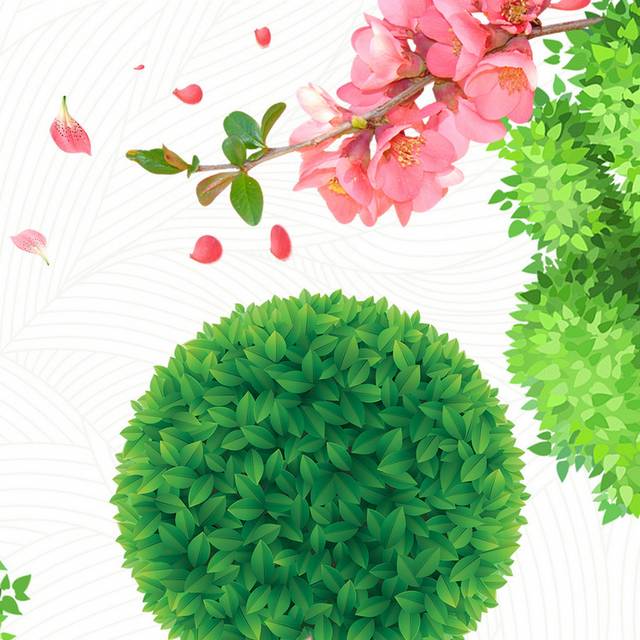 绿叶清新h5背景