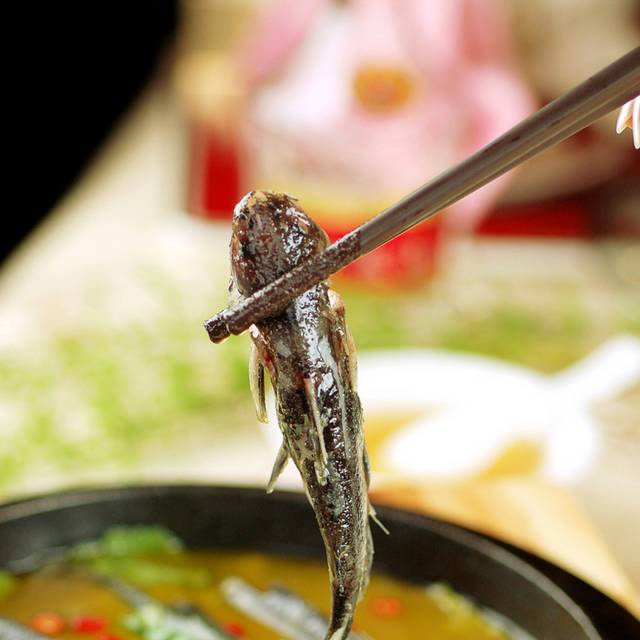 农家仔鲢图片