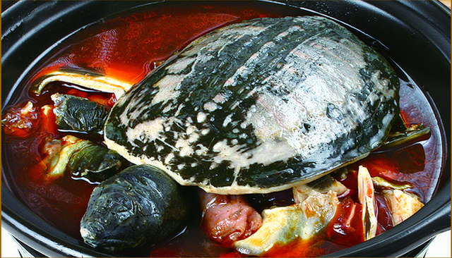 砂锅焖甲鱼图片