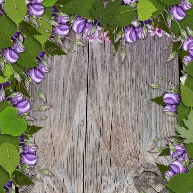 简约紫色花朵树叶主图背景