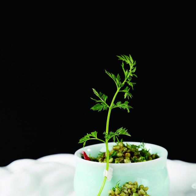 高清小茴香拌青麦仁图片