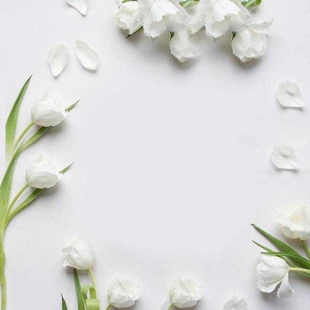 素雅白色花朵主图背景
