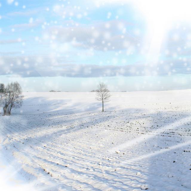 冬天雪地主图背景