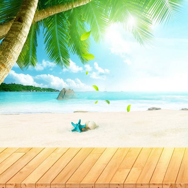 清新阳光沙滩海星主图背景