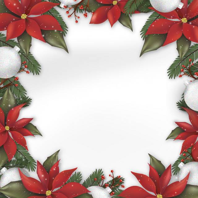 圣诞节红色小花边框主图背景