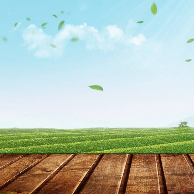 绿色茶园木板主图背景