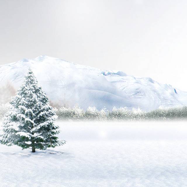 雪花松树主图背景