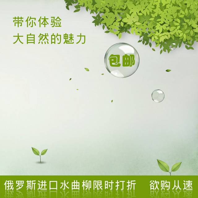 清新绿色树叶气泡主图背景