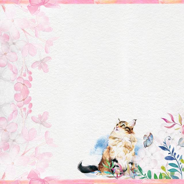 水彩花朵猫咪主图背景