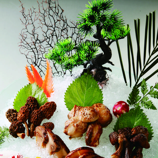 野山菌组合图片