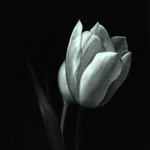 灰暗花朵装饰画素材