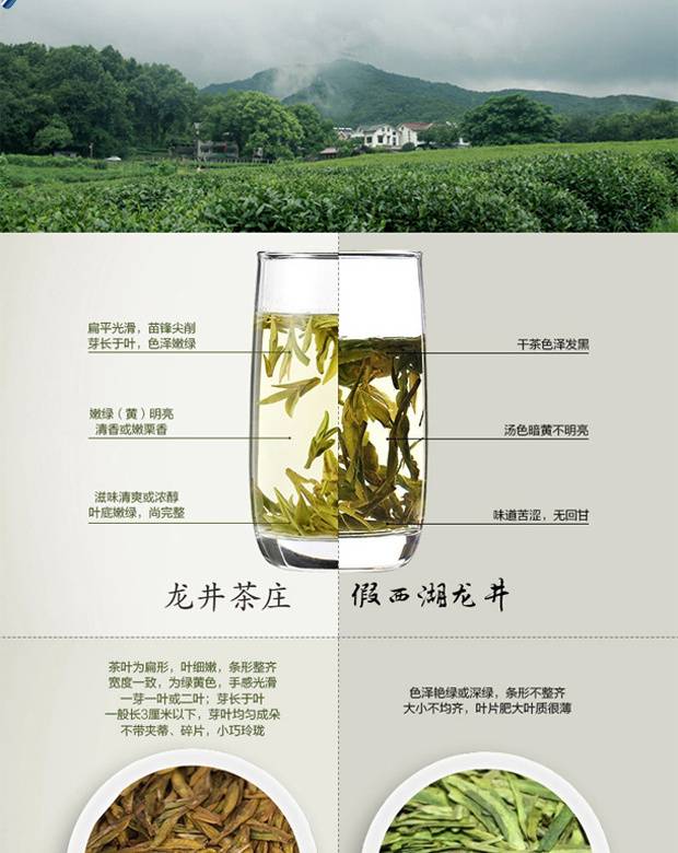 杭州龙井详情页