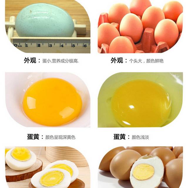 土鸡蛋详情页