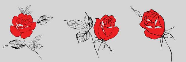 手绘红玫瑰无框画