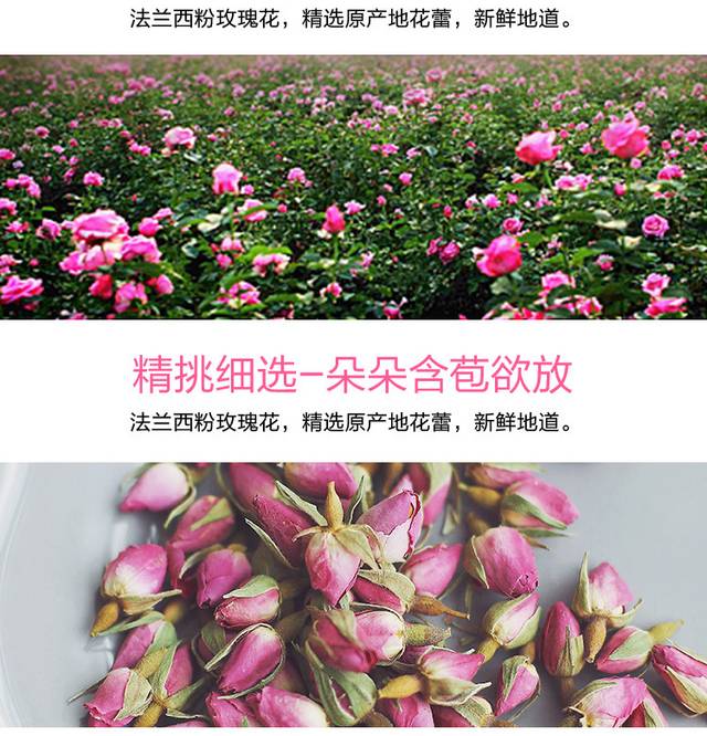 粉色玫瑰花茶详情页