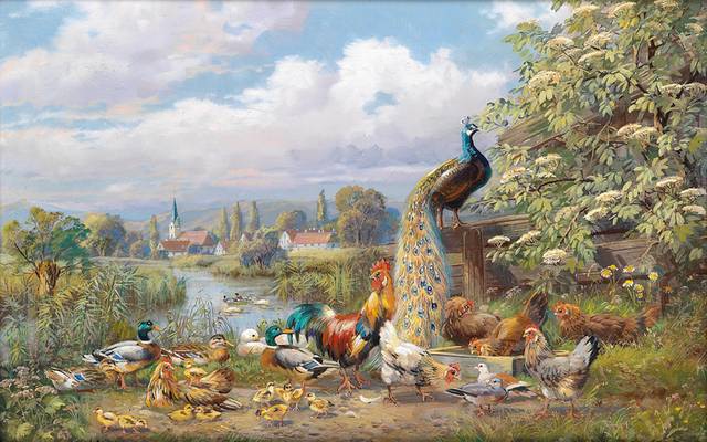 家禽风景油画