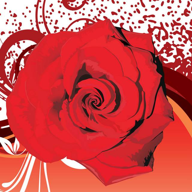 抽象红色玫瑰无框画2