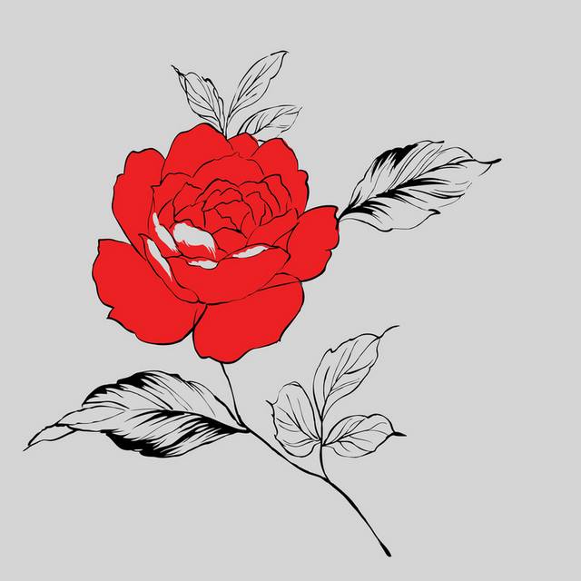 手绘红玫瑰无框画1