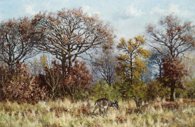 野外的鹿风景油画
