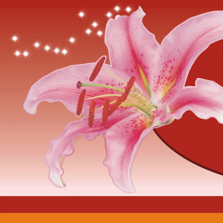 素材| 王道中白描花卉草虫画谱35图