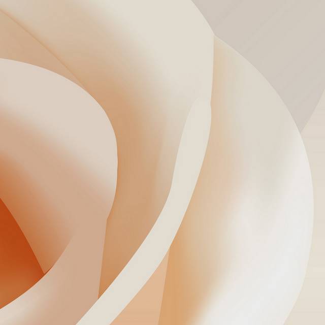 白玫瑰无框画3