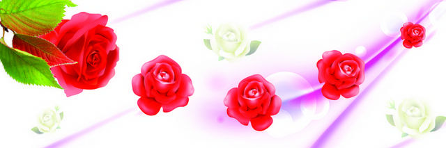 鲜红玫瑰装饰画3