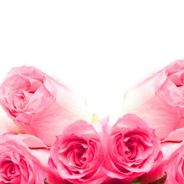粉玫瑰无框画2