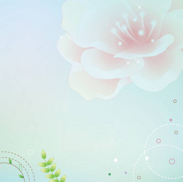 粉白花卉无框画1